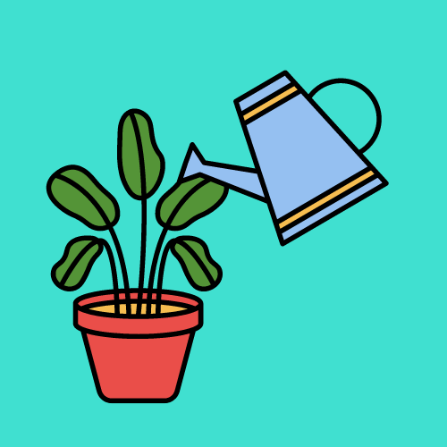 Gardening and Lawn Care Tips