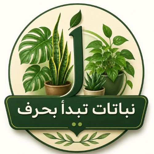 نبات بحرف 🌱