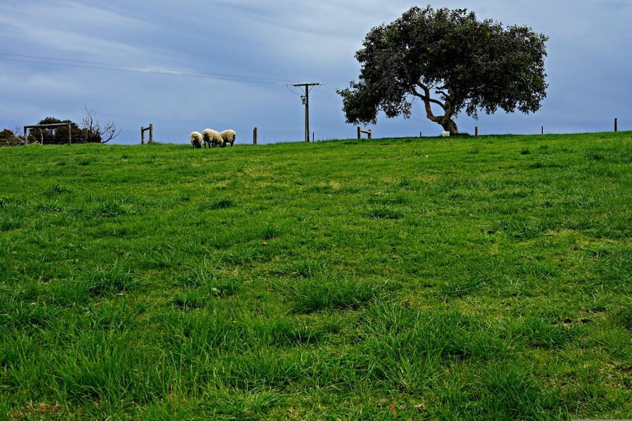 مساحة  cover image