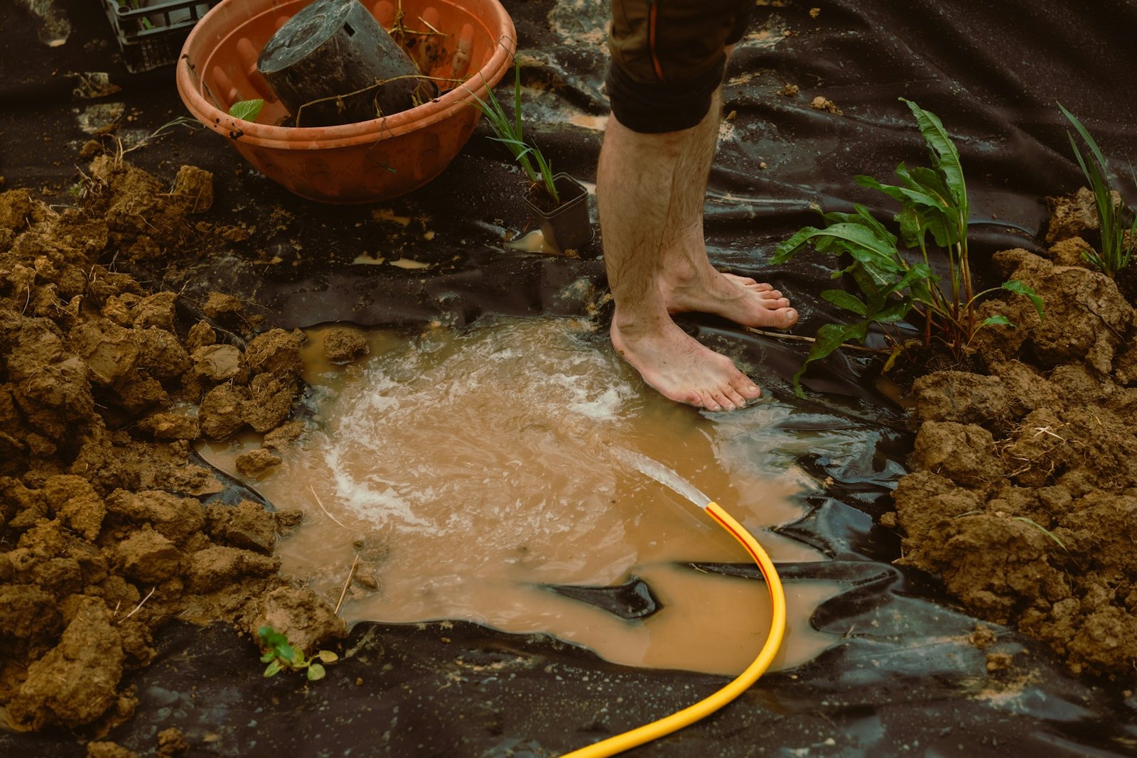 الافراط في الري Over-watering